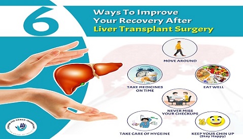 6 Ways To Improve Your Recovery After Liver Transplant