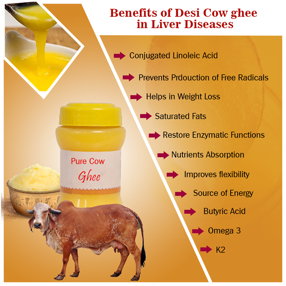 Benefits Of Desi Cow Ghee In Liver Diseases