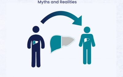 Living Liver Donor Myths and Realities