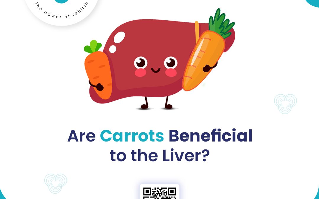 Are Carrots Beneficial to the Liver?