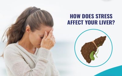 How does stress affect your liver?