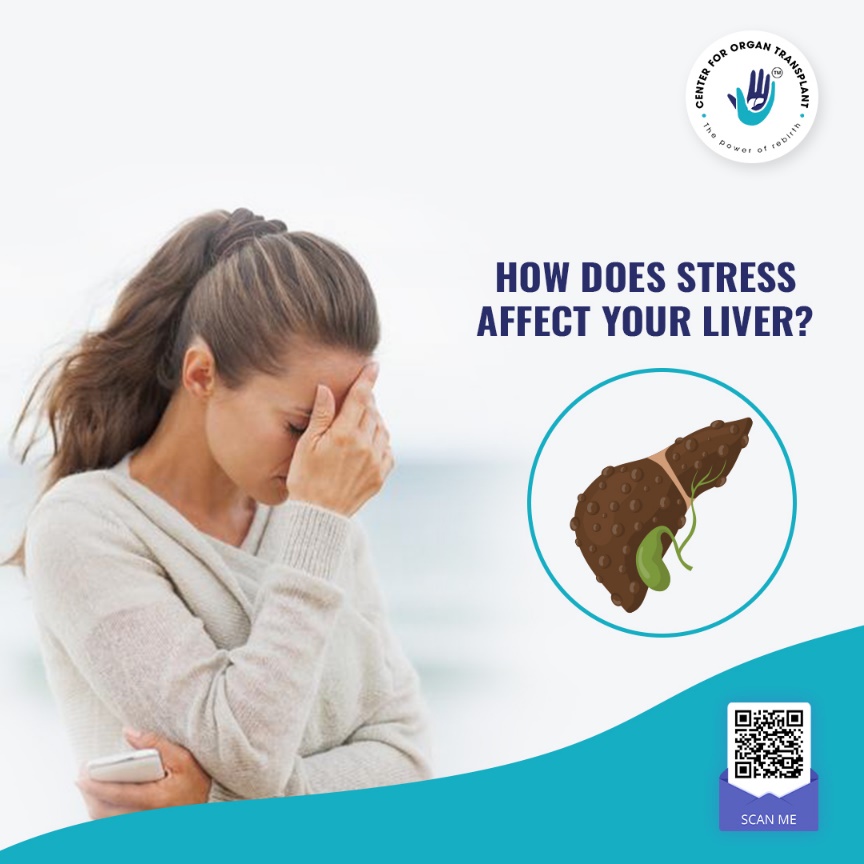 how-does-stress-affect-the-body-ed-can-help