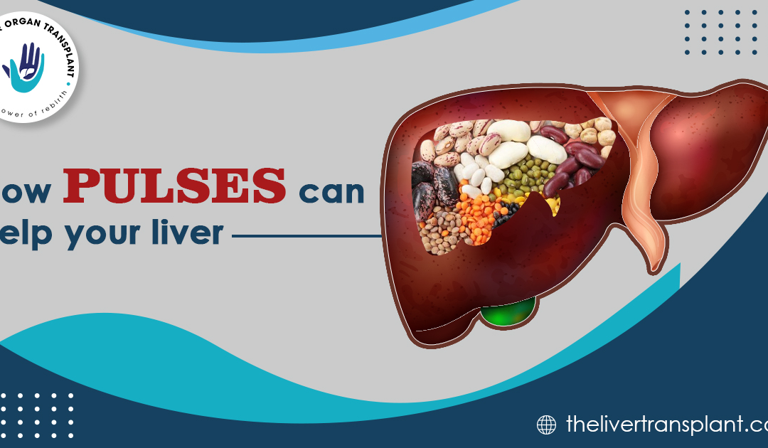 How pulses can help your liver?