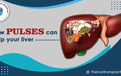 How pulses can help your liver?