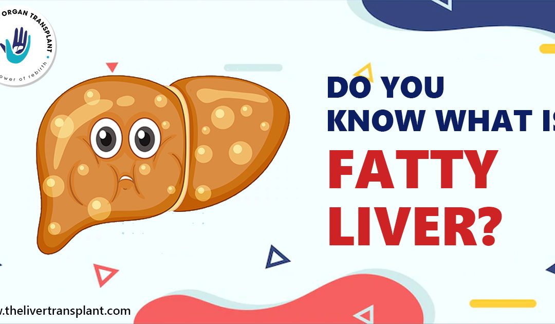 Do you know what is Fatty Liver