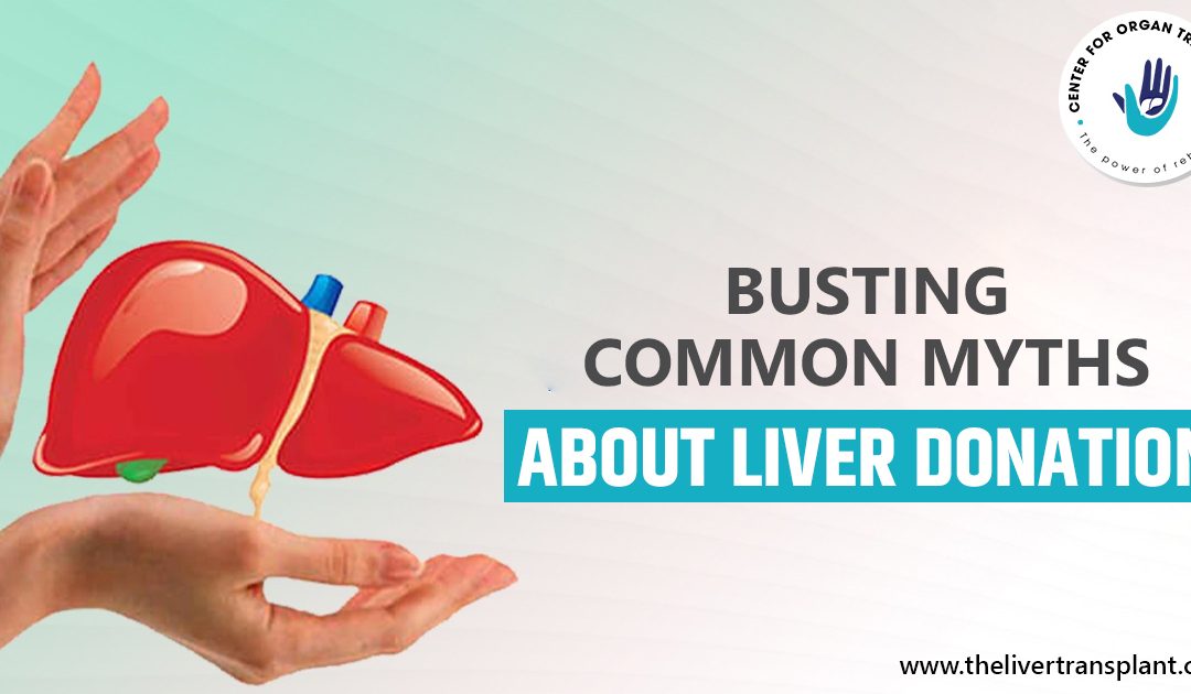 Busting Common Myths About Liver Donation