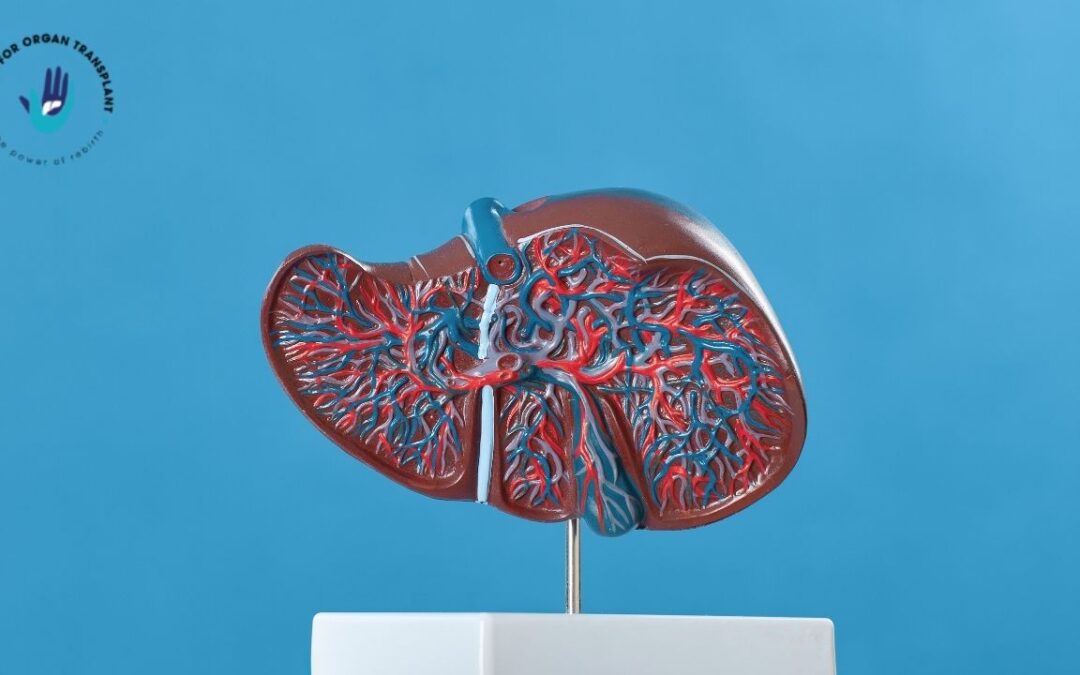 Warning Signs: 12 Unexpected Clues Your Liver Might Be in Trouble