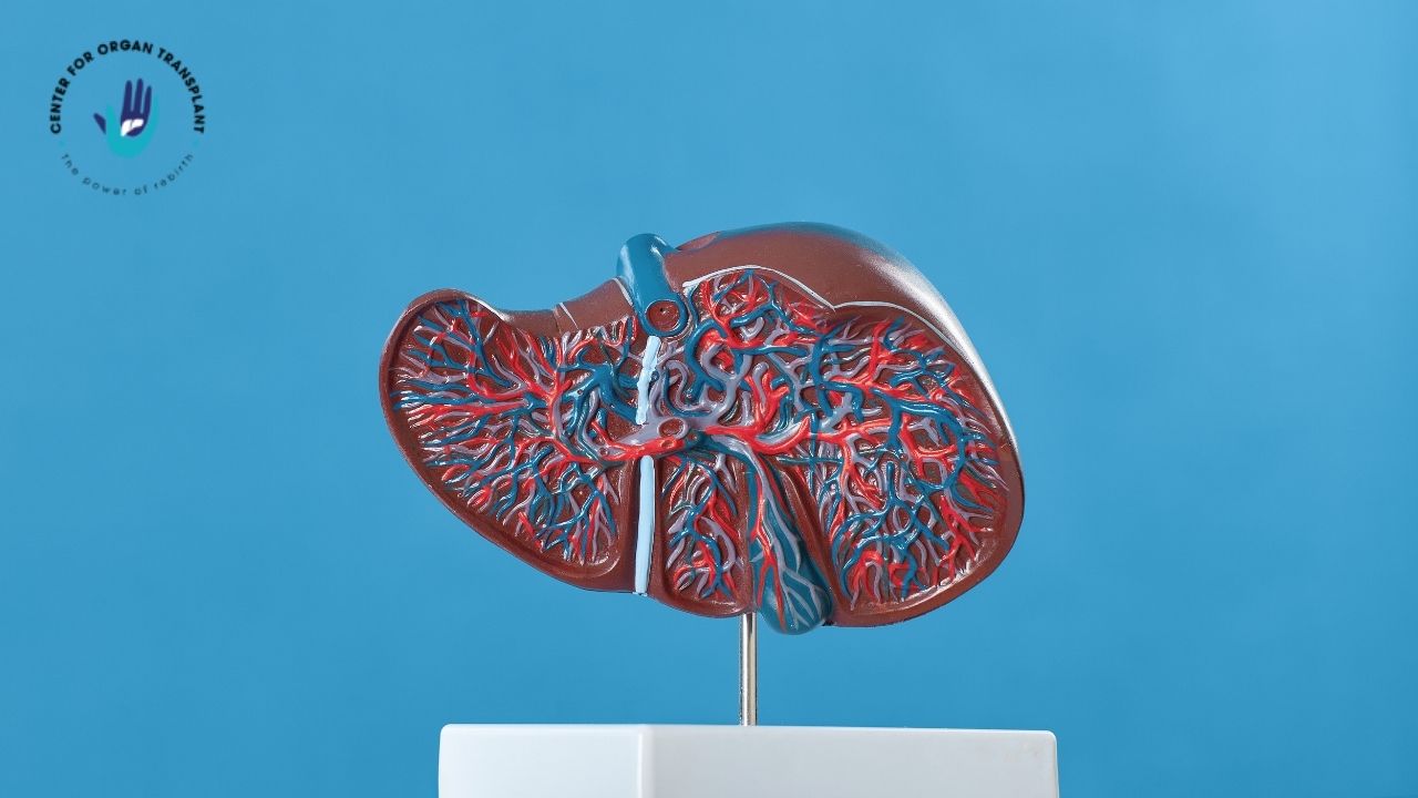 12 Hidden Signs of Liver Damage Dr. Bipin Vibhute's Liver Health Guide