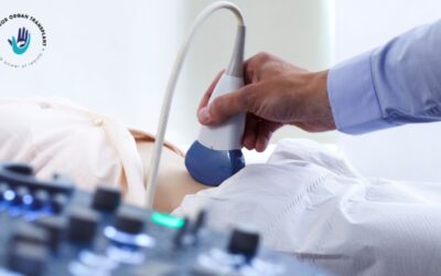 Liver Health: Why Regular Ultrasounds are Essential – A Guide from Dr. Bipin Vibhute