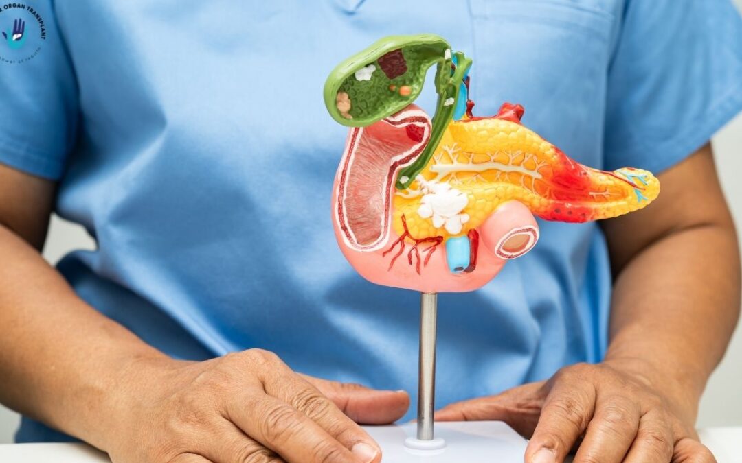 Pancreas Transplant Cost in India: All You Need to Know