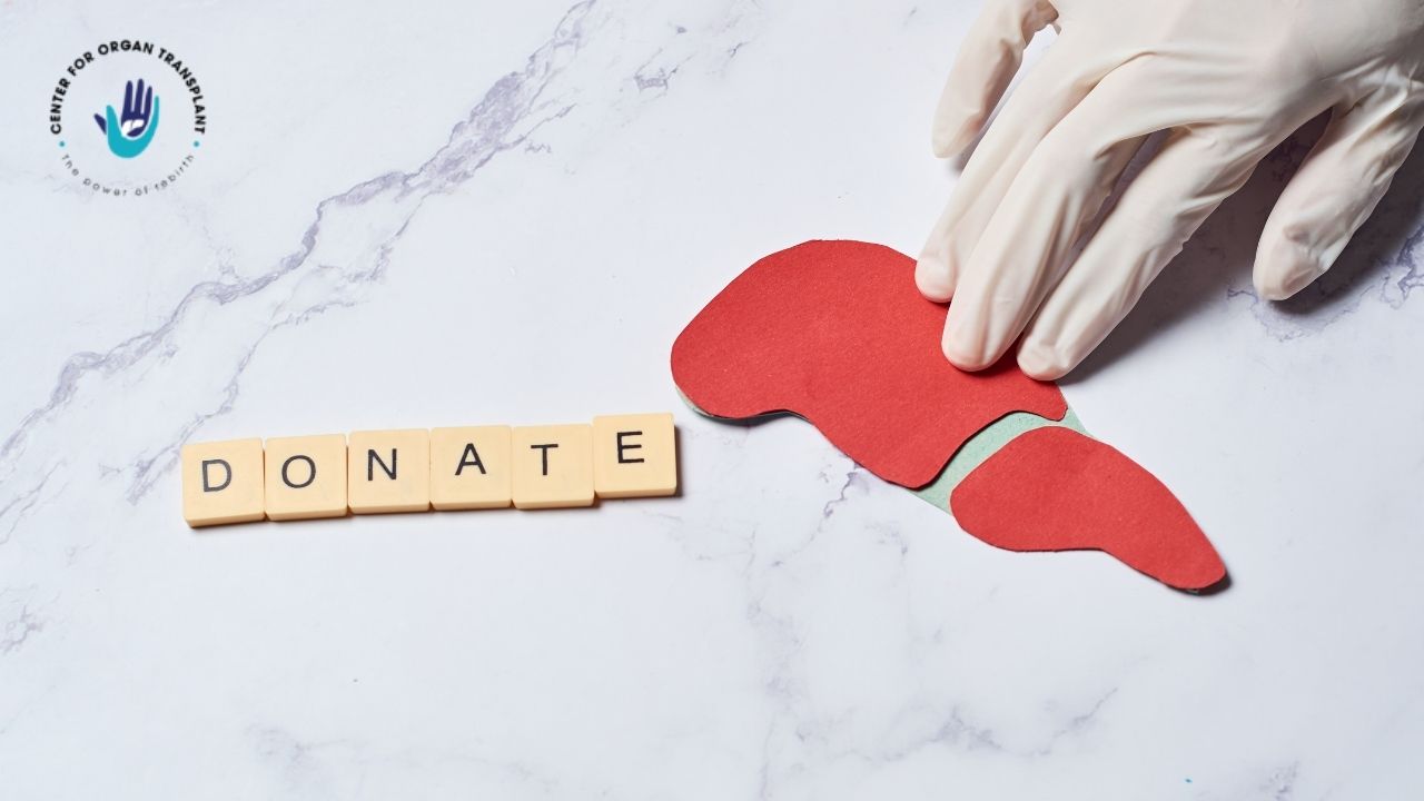 Myths and Facts about liver transplant