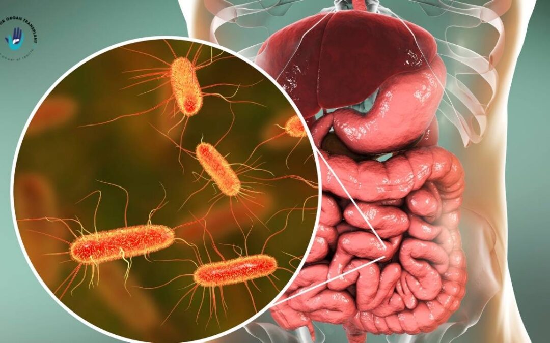 Seven Science-Backed Ways to Fix Your Gut-Brain Connection (Naturally)