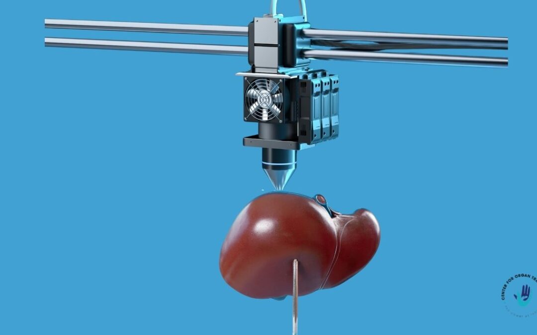 3D-Printed Biodegradable Bilayer Films: A Promising New Direction in Liver Cancer Therapy