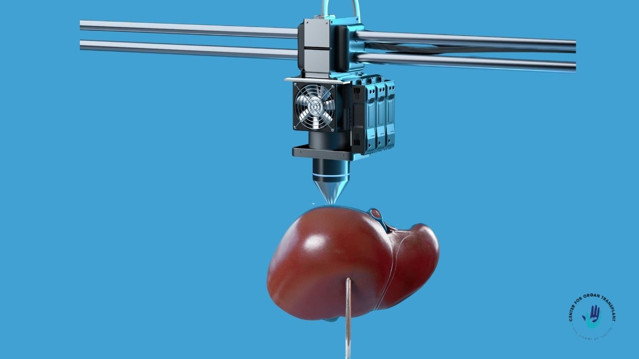 3D-printed biodegradable bilayer film concept for targeted liver cancer drug delivery