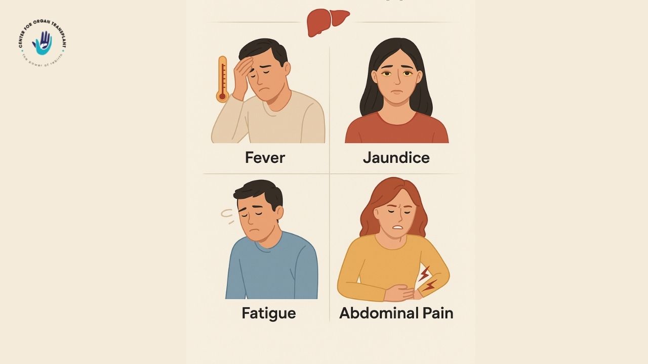 Infographic showing warning signs after a liver transplant, including fever, jaundice, fatigue, and abdominal pain, illustrated with patient icons.