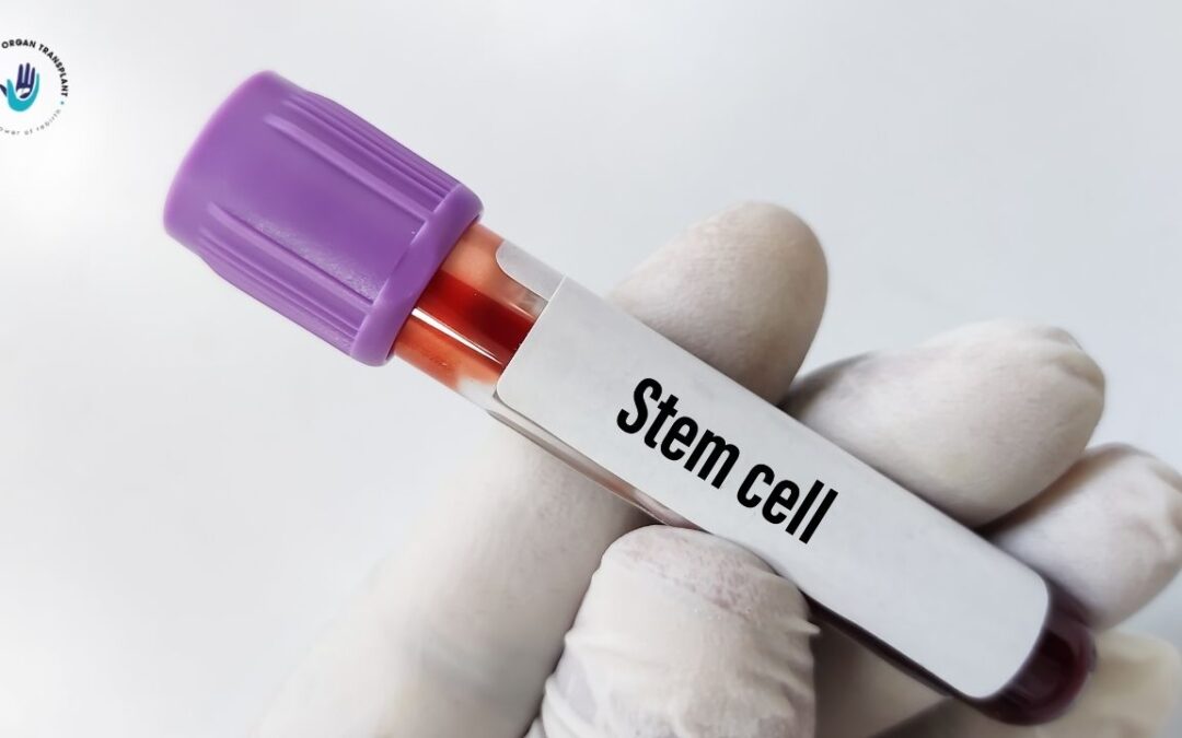 Regenerative Medicine & Stem-Cell Therapy for Liver Disease in India — What You Should Know