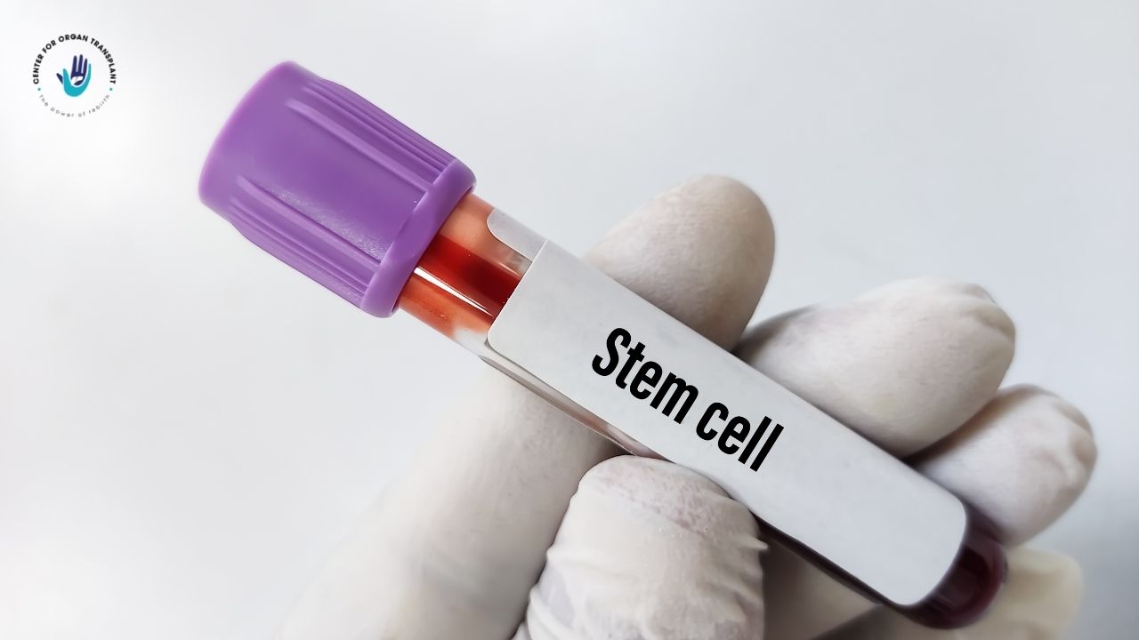 Stem cell therapy and regenerative medicine for liver disease treatment in India.