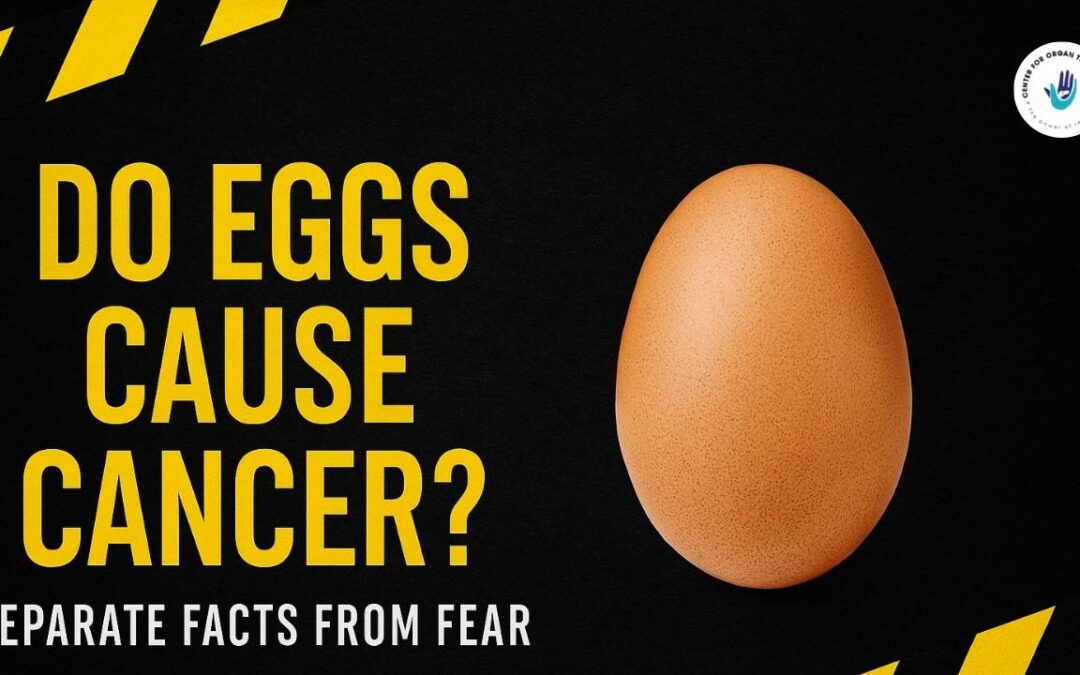 Setting the Context: Why the “Eggs Cause Cancer” Concern Again?