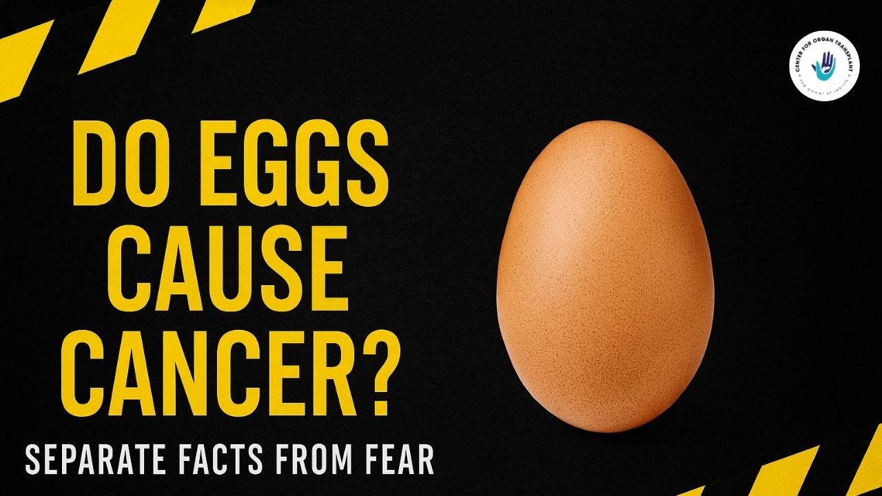 Bold awareness graphic with a brown egg on a dark background stating that - Do Eggs Really Cause Cancer