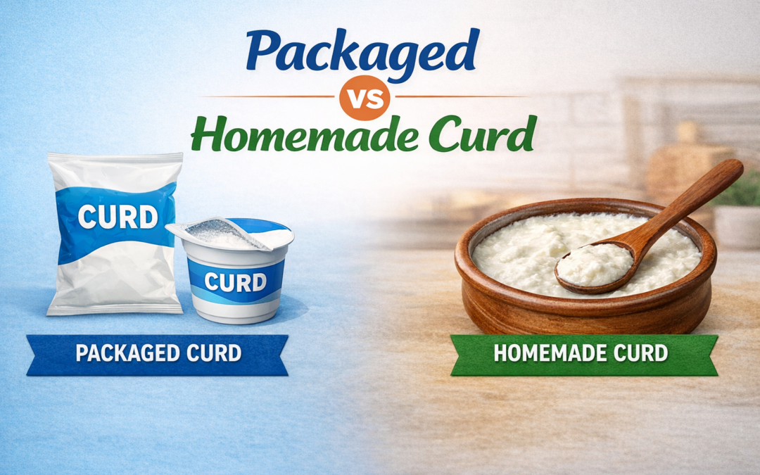 Homemade Vs Packaged Curd — Which Is More Hygienic? A Guide by Dr. Bipin Vibhute