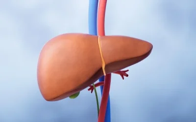 Can Fatty Liver Be Reversed? Doctor-Recommended Treatment and Lifestyle Changes
