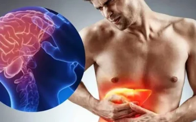 Why Does Liver Failure Affect the Brain?