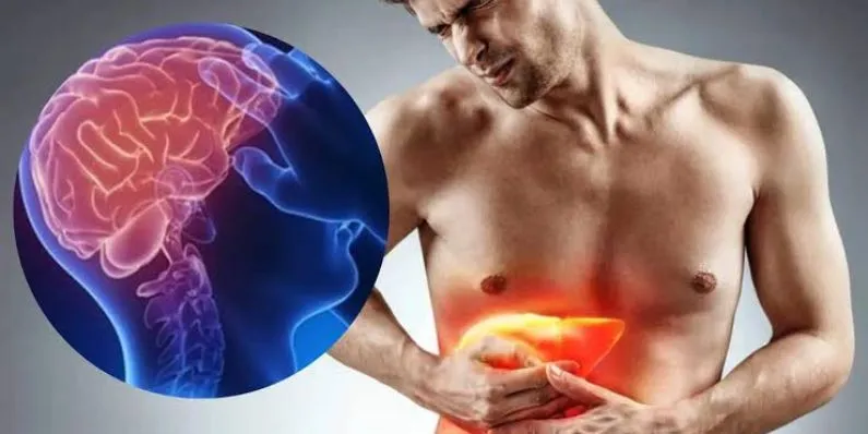 Why Does Liver Failure Affect the Brain