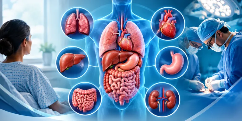 Who Needs a Multivisceral Transplant_ Conditions That Require Multiple Organs